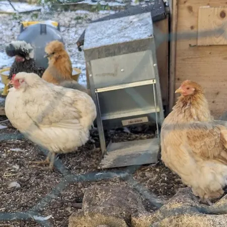 Le Chaumontais Ecolo Et Sa Terrasse Privee Appartement Chaumont (Haute-Marne)
