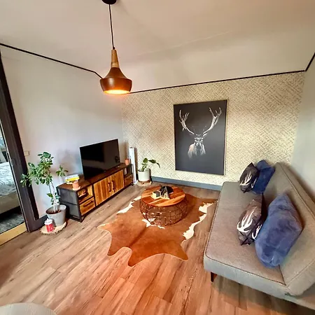 Le Chaumontais Ecolo Apartmán Chaumont (Haute-Marne)
