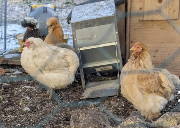 Le Chaumontais Ecolo Apartment Chaumont (Haute-Marne)