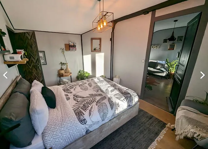 Apartment Le Chaumontais Ecolo Chaumont (Haute-Marne)