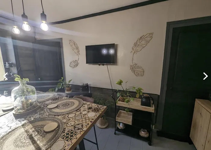 Le Chaumontais Ecolo Apartment *